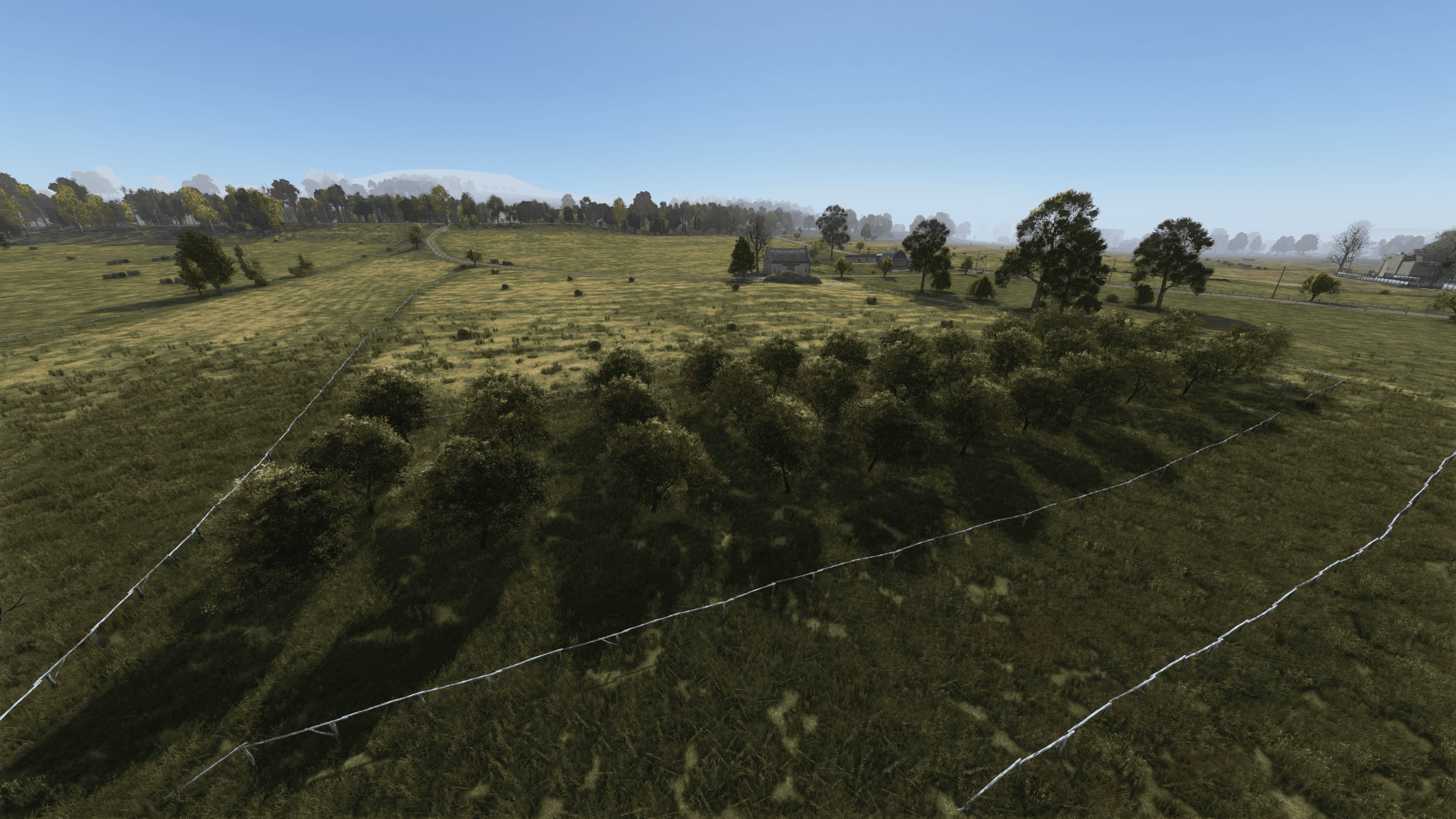 Яблоки — Новая Петровка